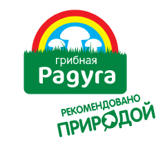 Грибная Радуга